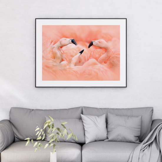 Affiche / Poster - Flamants roses