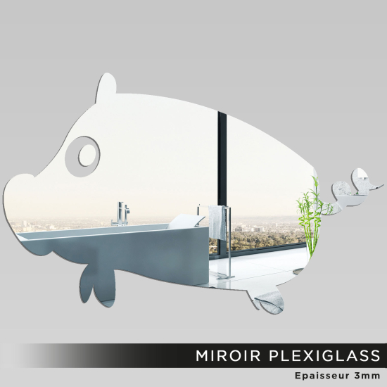 Miroir Plexiglass - Cochon