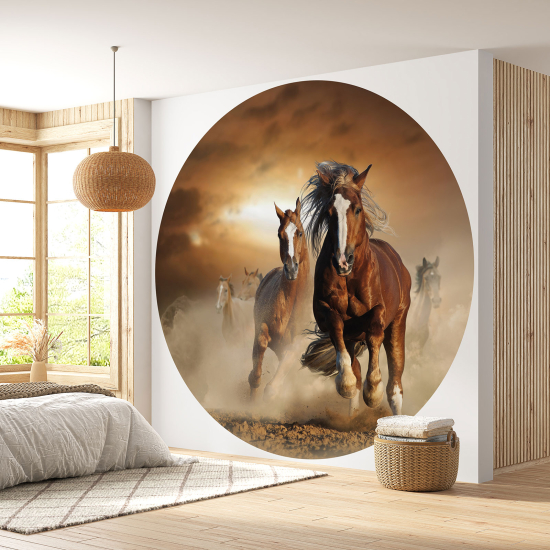 Papier peint rond / cercle - Chevaux