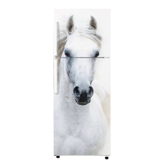 Stickers Frigo - Cheval