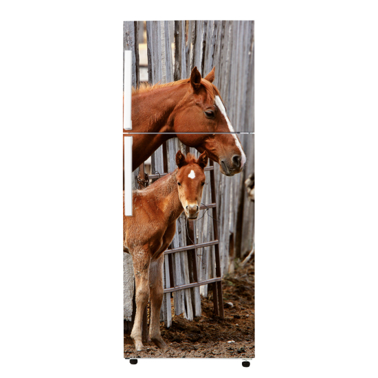 Stickers Frigo - Chevaux