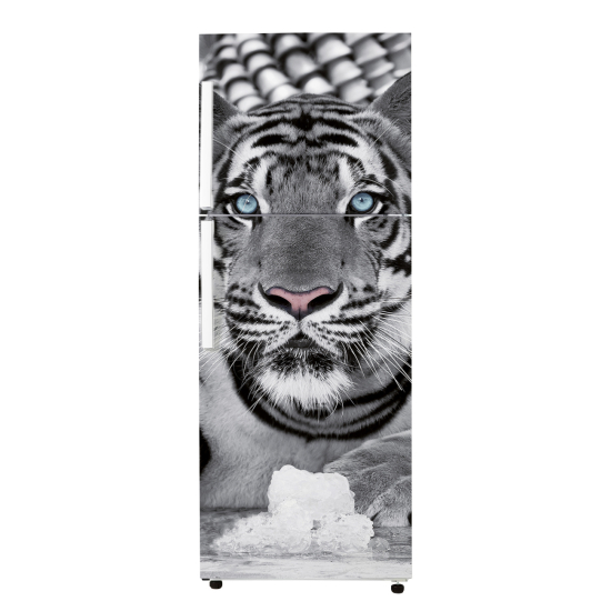 Stickers Frigo - Tigre