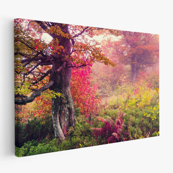 Tableau toile - Automne nature