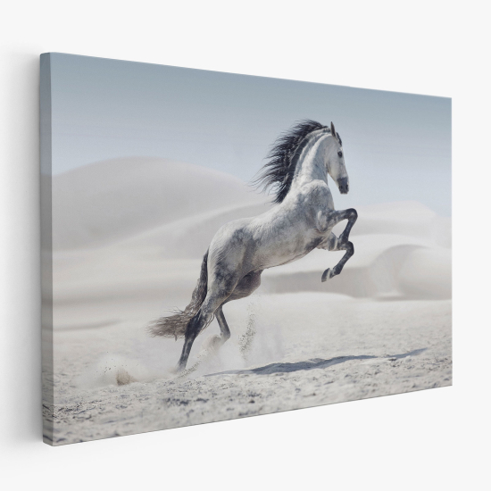 Tableau toile - Cheval