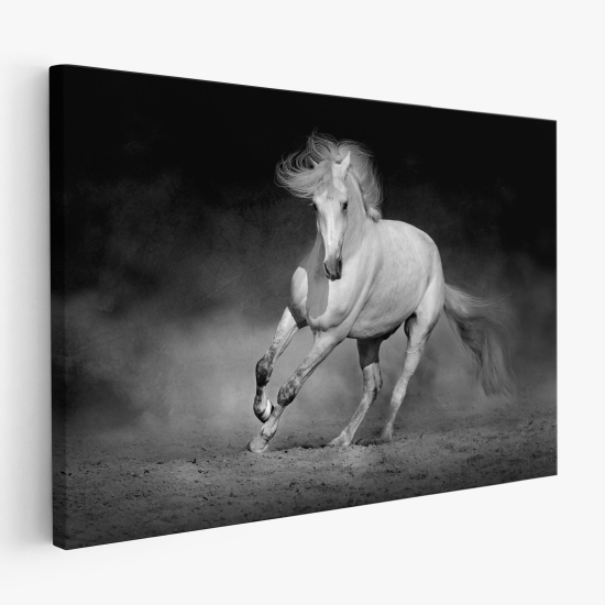 Tableau toile - Cheval