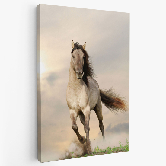 Tableau toile - Cheval