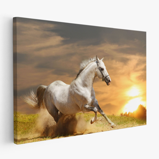 Tableau toile - Cheval blanc