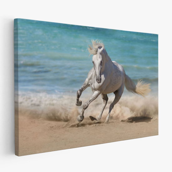 Tableau toile - Cheval sur la plage