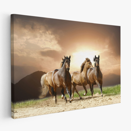 Tableau toile - Chevaux