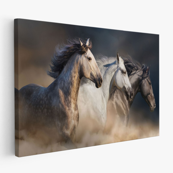 Tableau toile - Chevaux