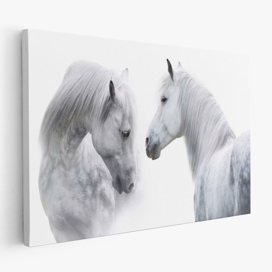 Tableau toile - Chevaux