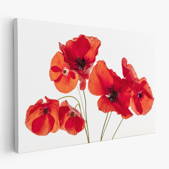 Tableau toile - Coquelicots