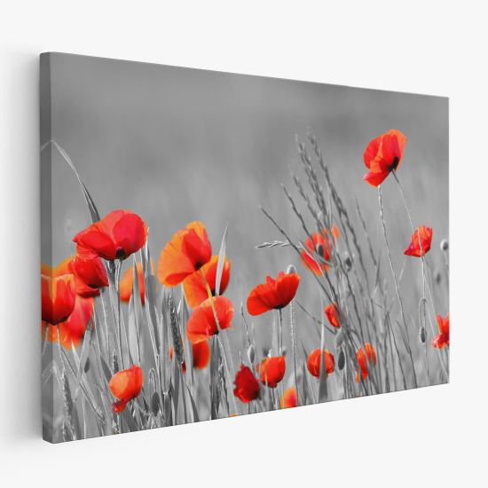 Tableau toile - Coquelicots