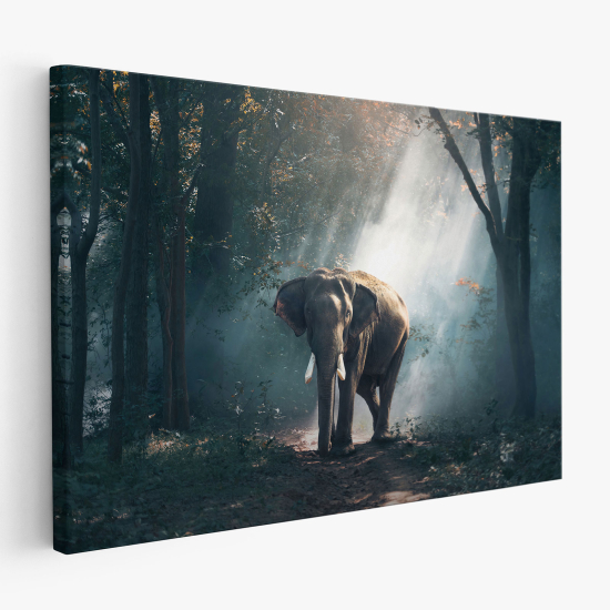 Tableau toile - Eléphant