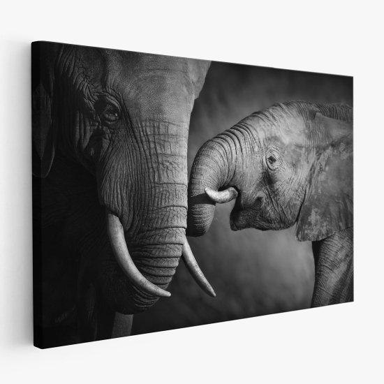 Tableau toile - Éléphants