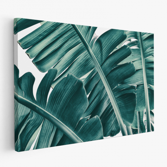 Tableau toile - Feuilles Tropicales 