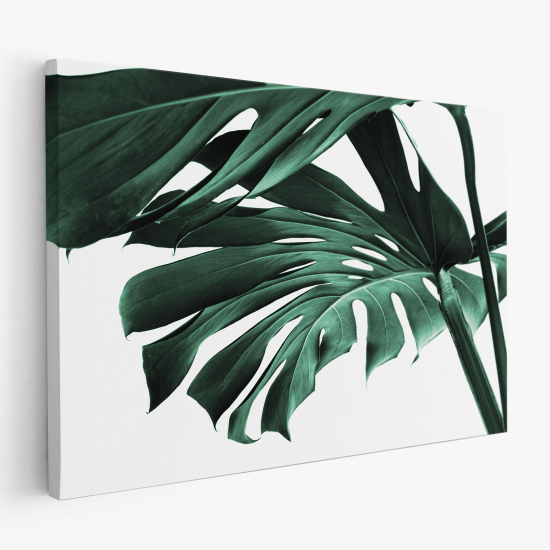 Tableau toile - Feuilles Tropicales Monstera