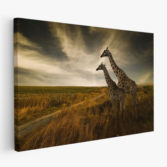 Tableau toile - Girafes