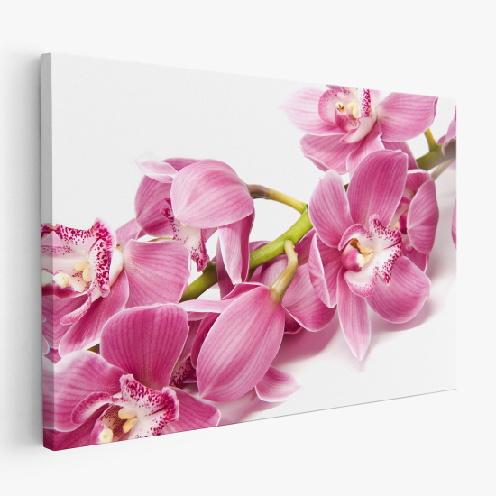 Tableau toile - Orchidées