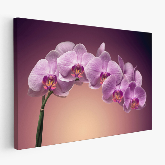 Tableau toile - Orchidées