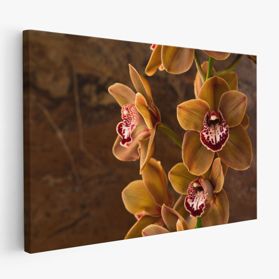 Tableau toile - Orchidées