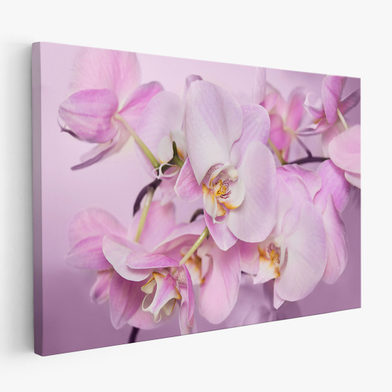 Tableau toile - Orchidées