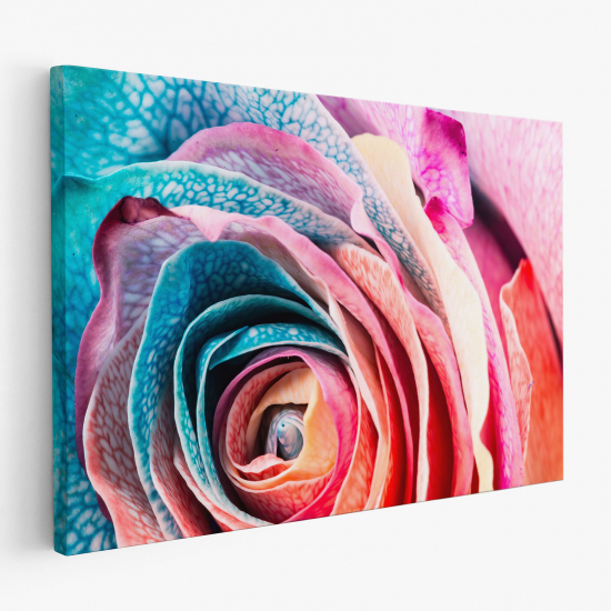 Tableau toile - Rose coloré