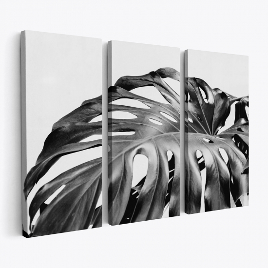 Tableau triptyque - Feuilles Tropicales Monstera