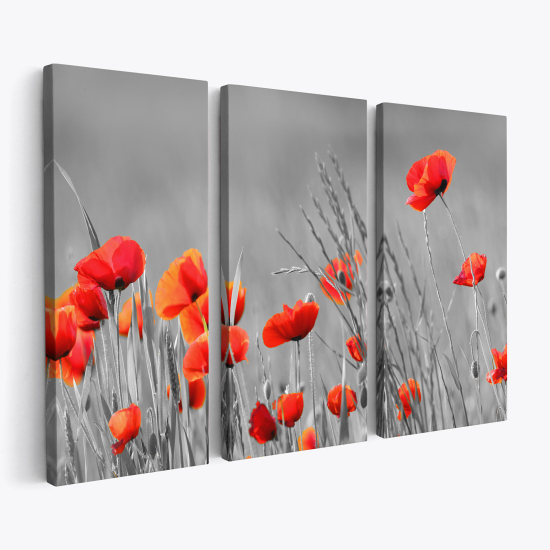 Tableau triptyque sur toile - Coquelicots