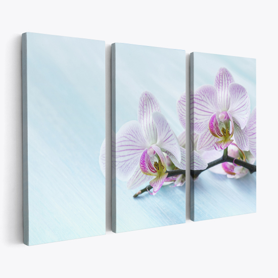 Tableau triptyque sur toile - Orchidées