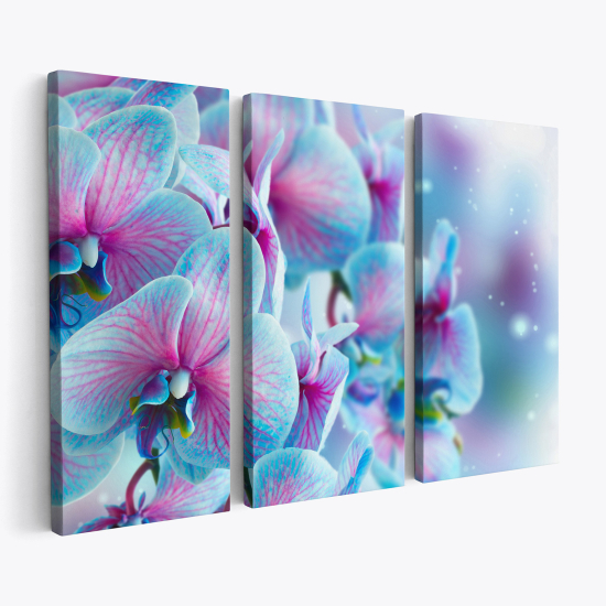 Tableau triptyque sur toile - Orchidées colorées