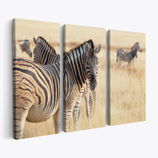 Tableau triptyque sur toile - Zèbres Savane