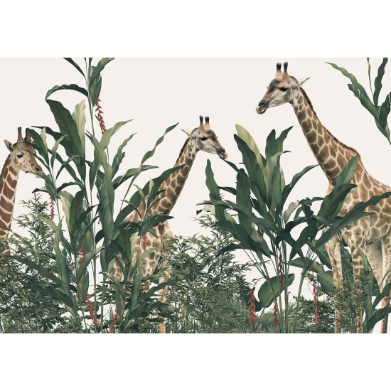 Papier peint panoramique Enfants - Girafes