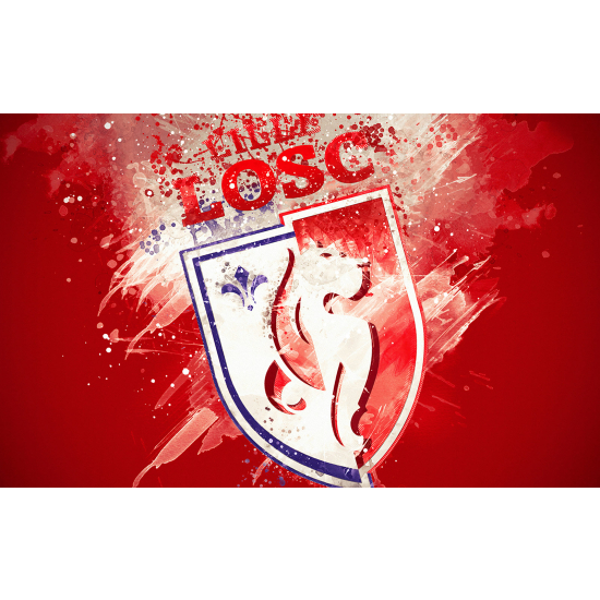 Papier peint panoramique Foot / Football - LOSC - Lille