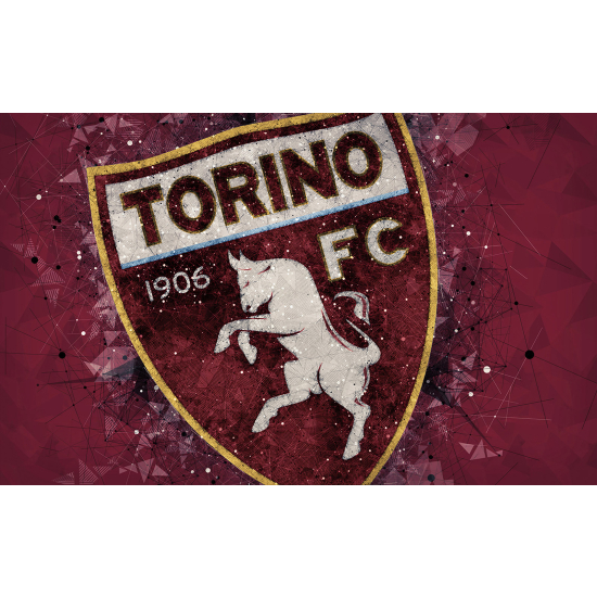 Papier peint panoramique Foot / Football - TORINO FC