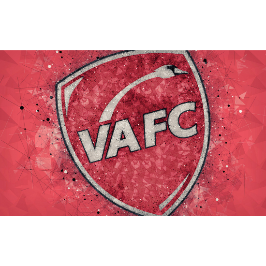 Papier peint panoramique Foot / Football - VA FC - Valenciennes Football club