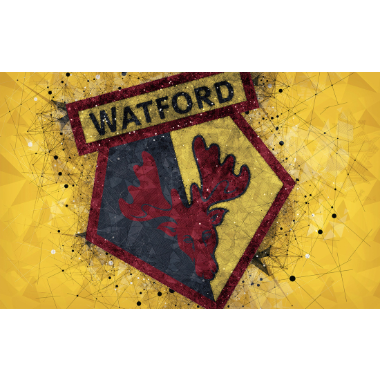 Papier peint panoramique Foot / Football - WATFORD