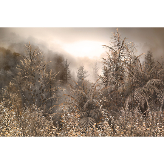 Papier peint panoramique - Forêt Tropicale