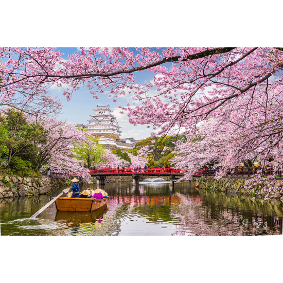 Papier peint panoramique - Jardin Japonais