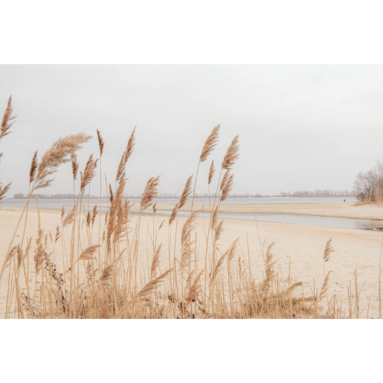 Papier peint panoramique - Pampas