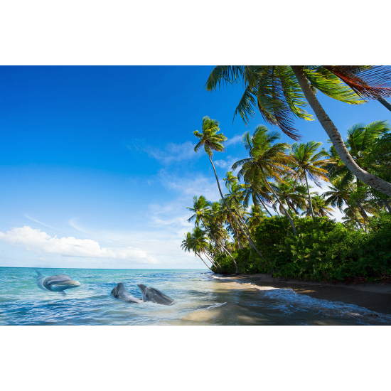 Papier peint panoramique - Vue Mer Cocotiers