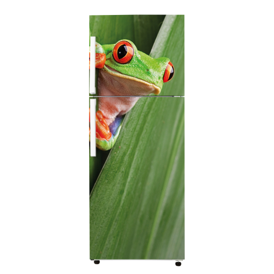 Stickers Frigo - Grenouille