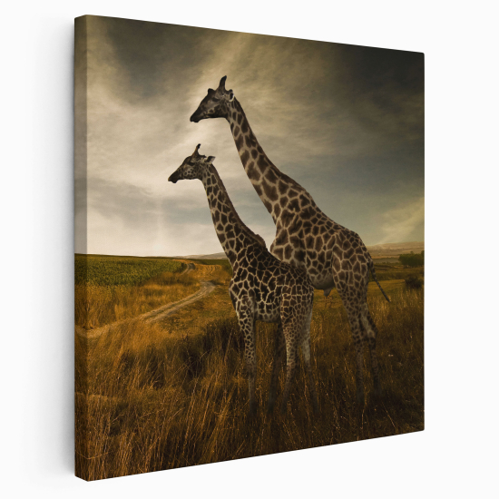 Tableau toile Carré - Girafes