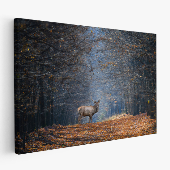 Tableau toile - Cerf