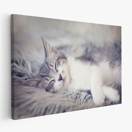 Tableau toile - Chat