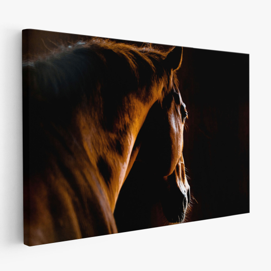 Tableau toile - Cheval