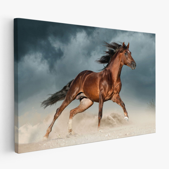 Tableau toile - Cheval