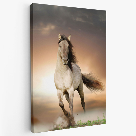 Tableau toile - Cheval