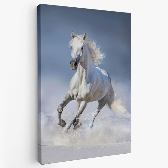 Tableau toile - Cheval blanc