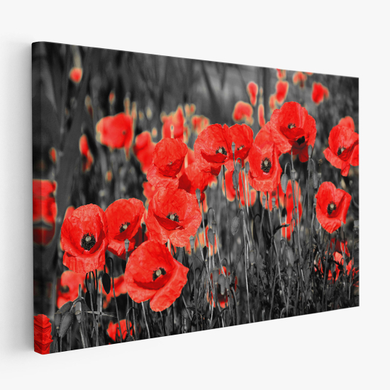 Tableau toile - Coquelicots